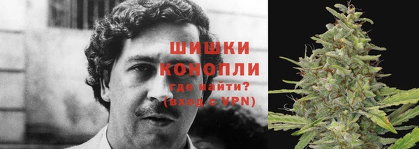 крисы Абдулино