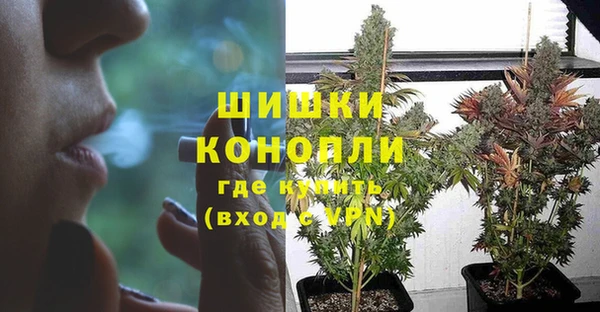 крисы Абдулино