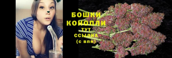 ГАЛЛЮЦИНОГЕННЫЕ ГРИБЫ Абинск