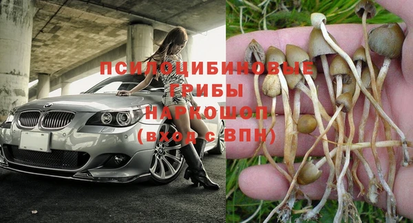 крисы Абдулино