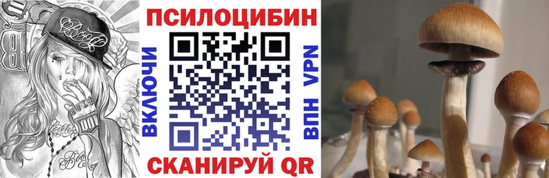 дарнет шоп  Отрадное  Псилоцибиновые грибы Psilocybine cubensis 
