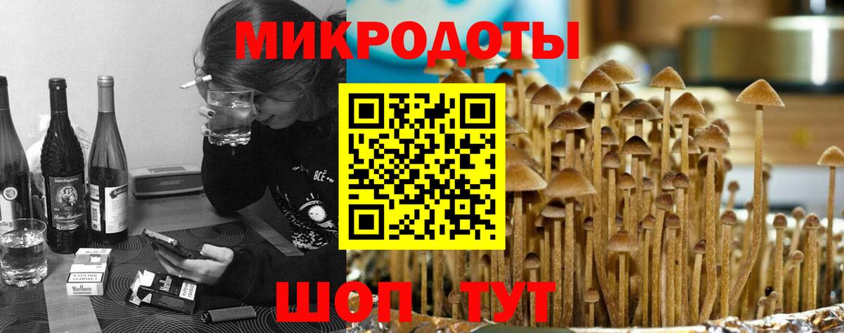 Галлюциногенные грибы Psilocybe  Вход с VPN  Псилоцибиновые грибы мухоморы  Отрадное 